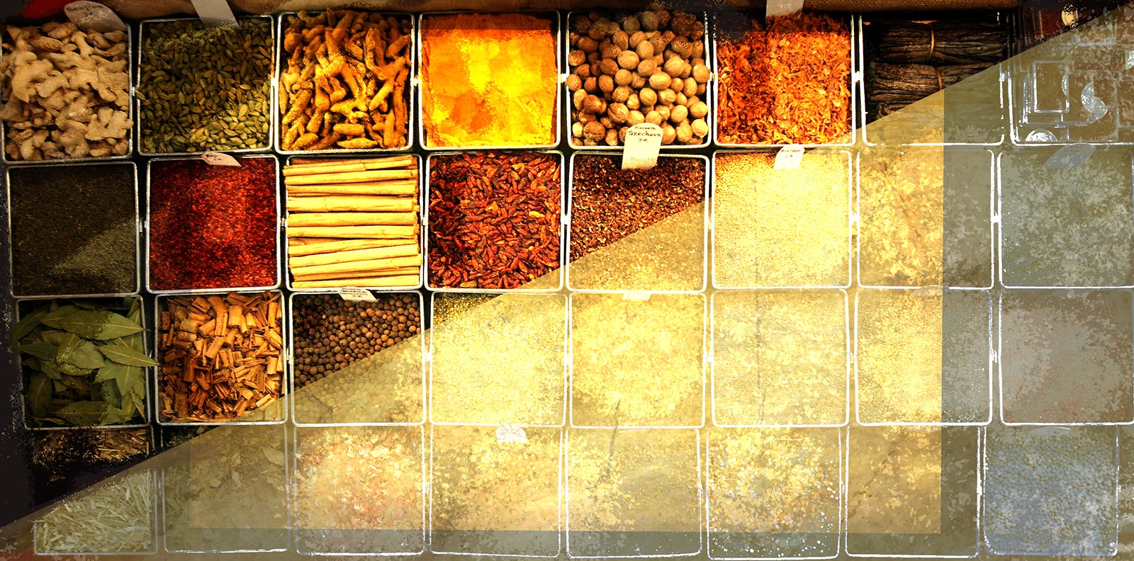 Especias, condimentos, fórmulas, aditivos, tripas y maquinaria de envasado