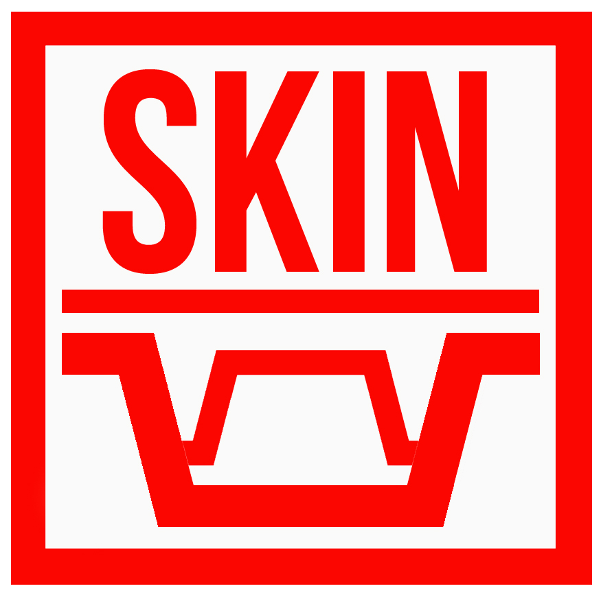 skin 1